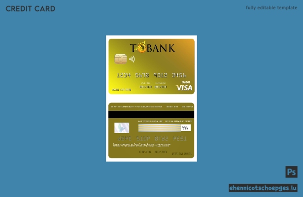 Beispielvorschau der Bhutan T Bank Visa-Karte